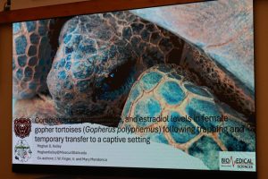 Title Slide