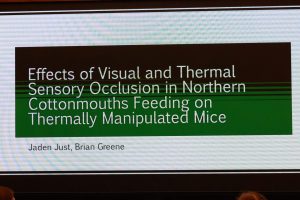 Title Slide