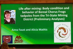 Title Slide